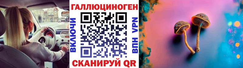 Псилоцибиновые грибы Psilocybe Завитинск