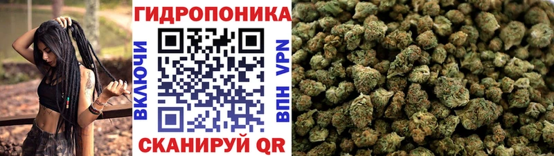 дарнет шоп Завитинск МАРИХУАНА сатива